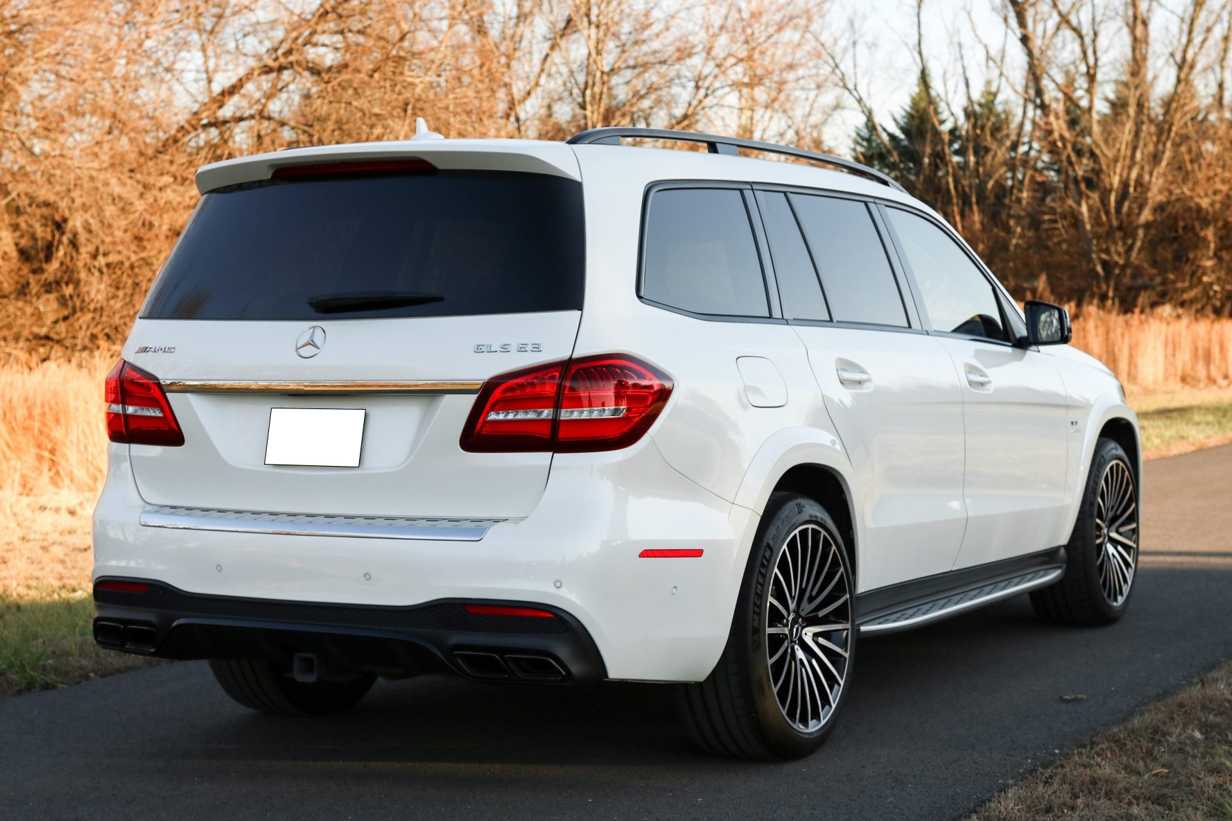 2018 Mercedes-AMG GLS63 4MATIC photo 2