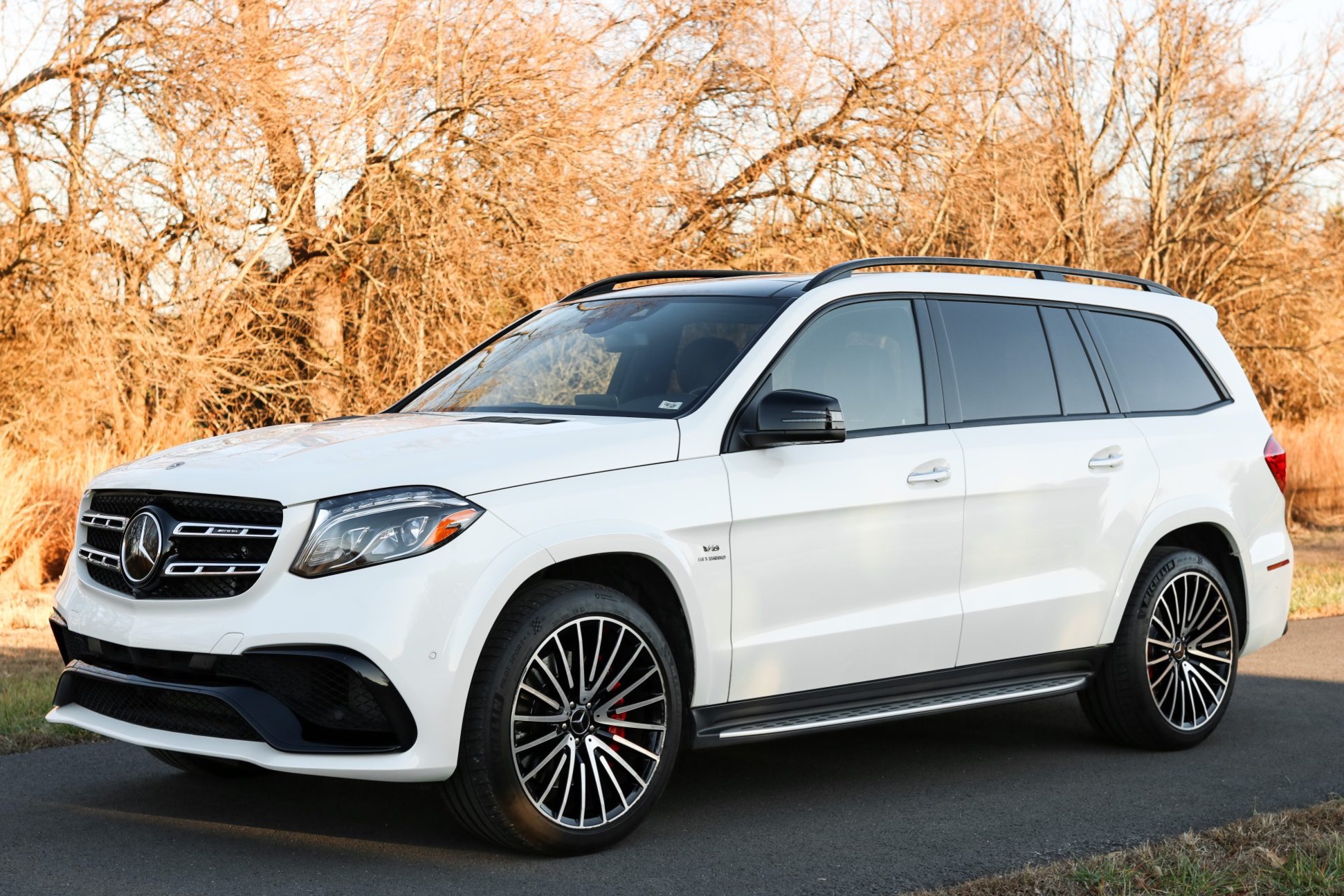 2018 Mercedes-AMG GLS63 4MATIC photo 3