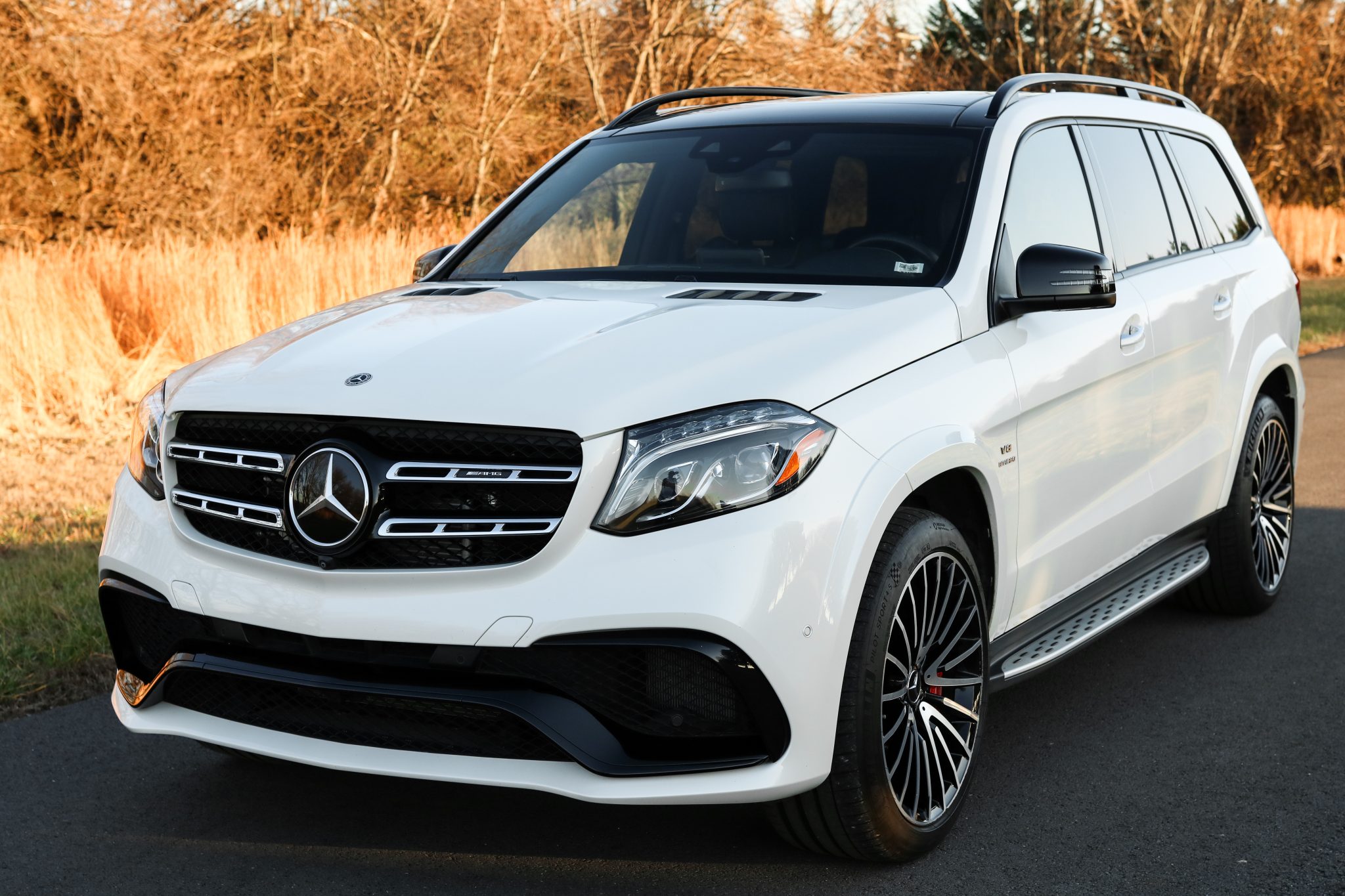 2018 Mercedes-AMG GLS63 4MATIC photo 7
