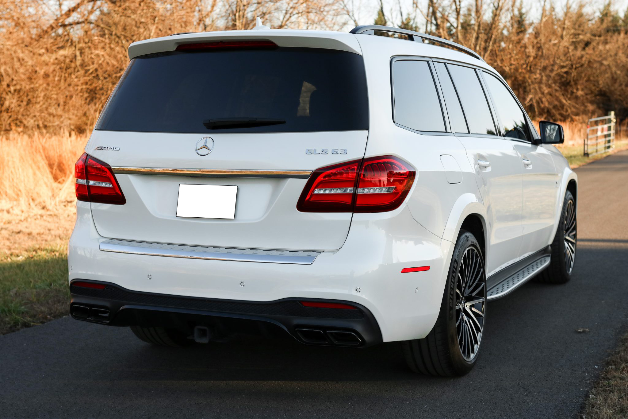 2018 Mercedes-AMG GLS63 4MATIC photo 8
