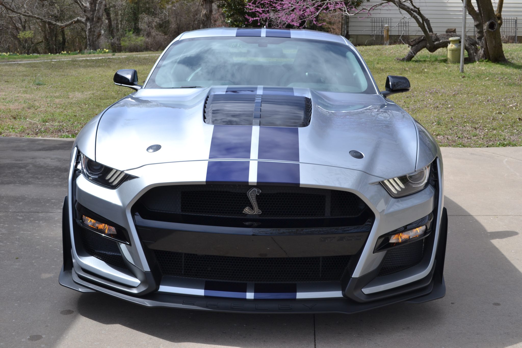 2021 Ford Mustang Shelby GT500 photo 4