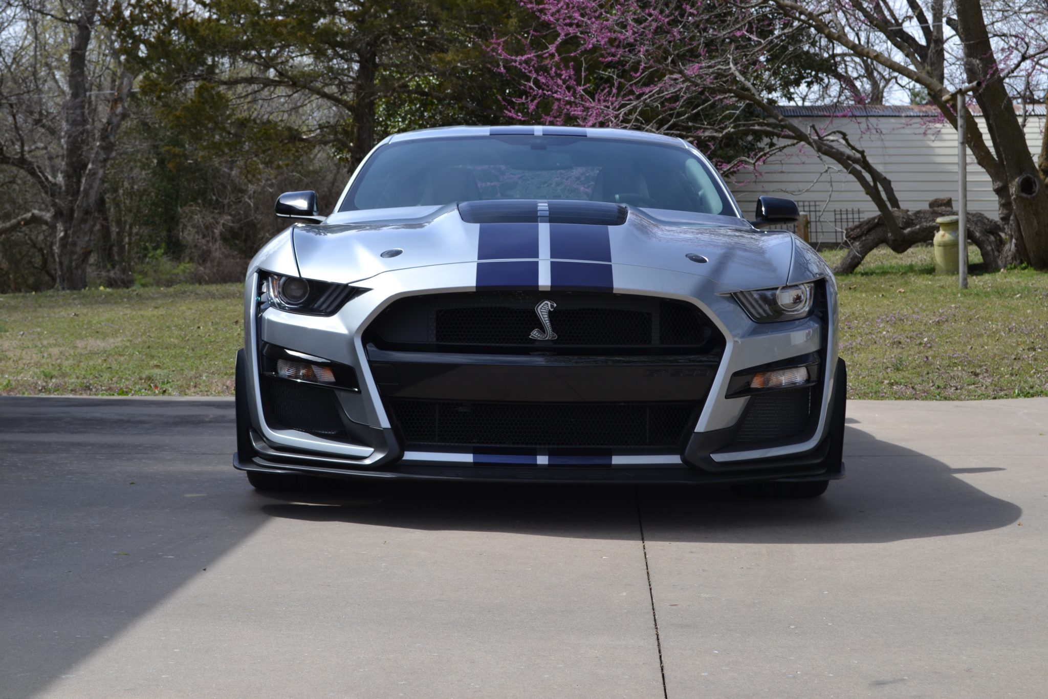2021 Ford Mustang Shelby GT500 photo 10